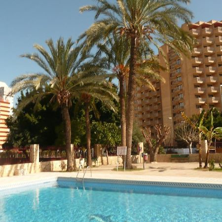 Moby Dick 6C Daire Benidorm Dış mekan fotoğraf
